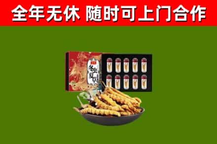 屯昌市烟酒回收冬虫夏草礼盒.jpg